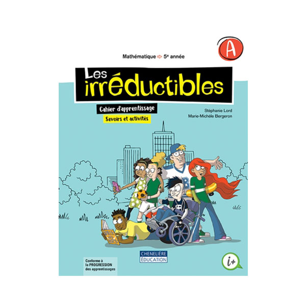 LES IRRÉDUCTIBLES 5e année