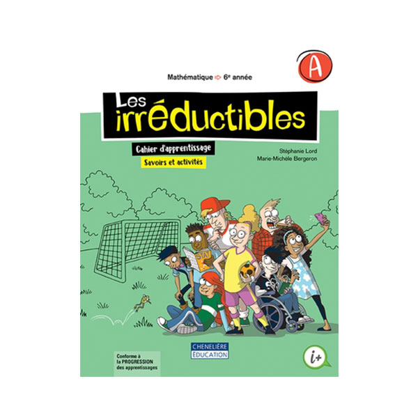 LES IRRÉDUCTIBLES 6e année