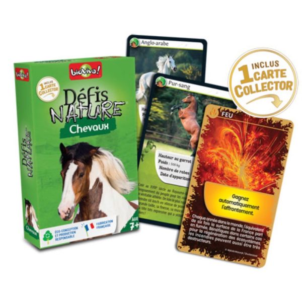 Défis Nature / Chevaux – Image 2
