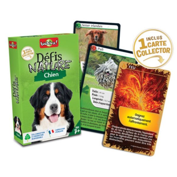 Défis Nature / Chiens – Image 2