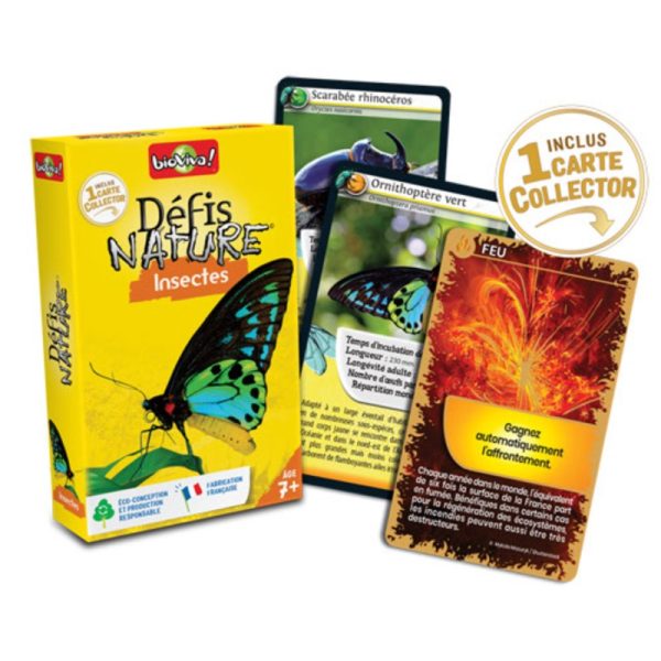 Défis Nature / Insectes – Image 2
