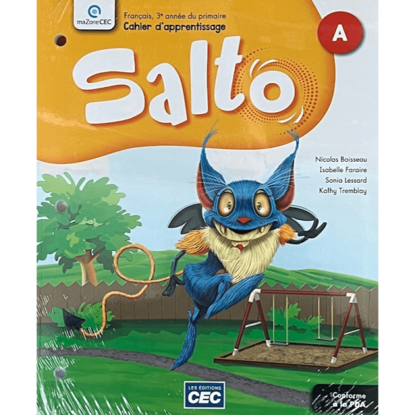 SALTO 3e ANNÉE