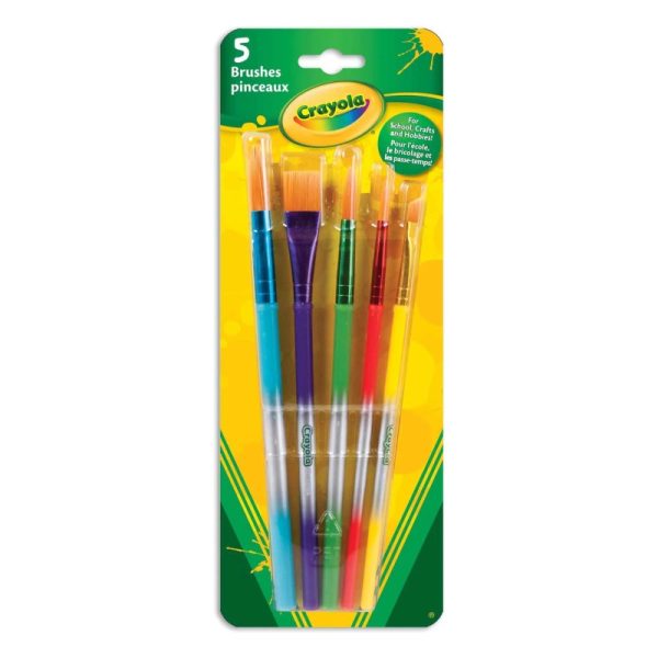 Ensemble de pinceaux assortis (5)