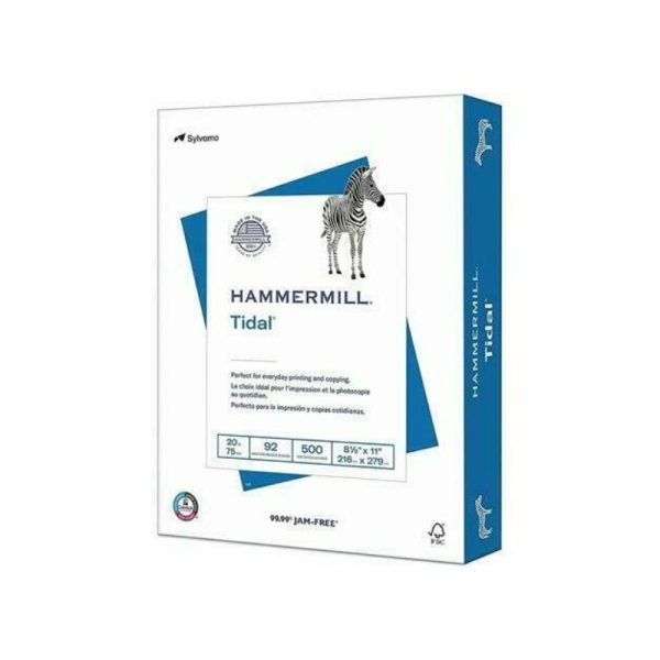 Papier pour imprimante (500)