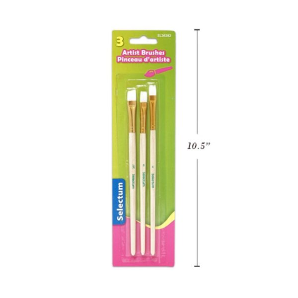 Ensemble de pinceaux plats (3)