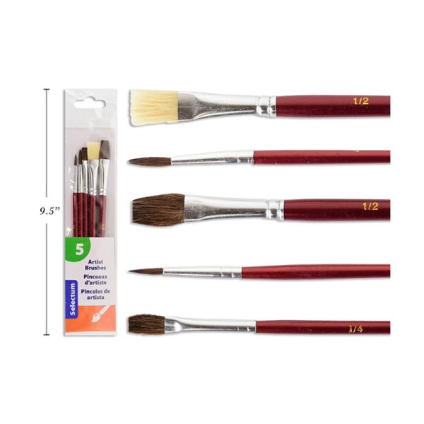 Ensemble de pinceaux assortis (5)