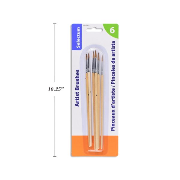 Ensemble de pinceaux assortis (6)