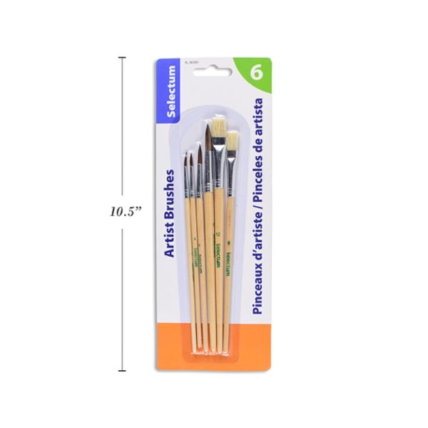 Ensemble de pinceaux assortis (6)