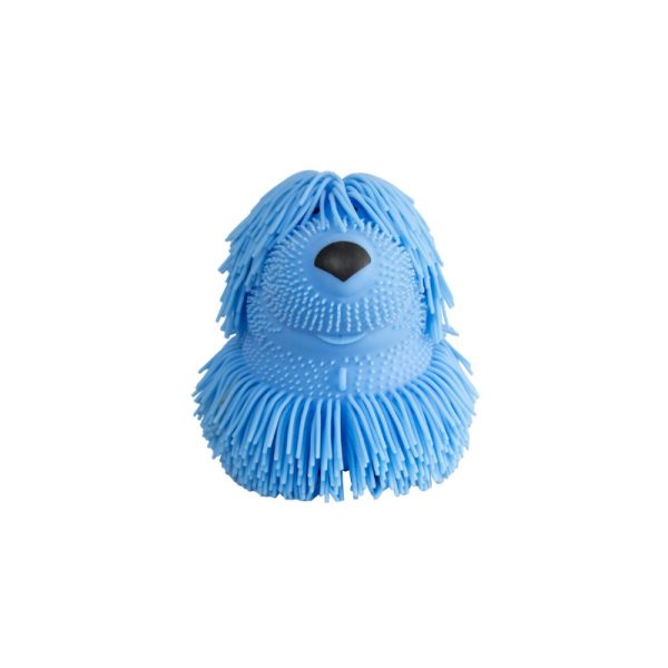 Chien poilu – Image 2