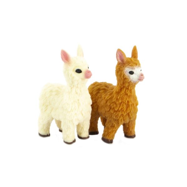 Lama Squidgy – Image 2