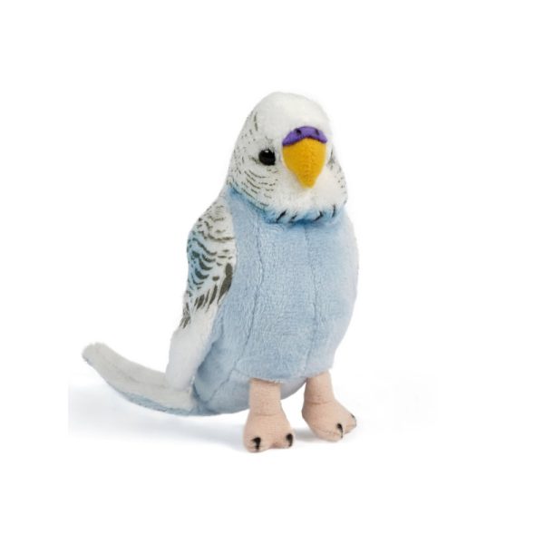 Perruche bleue avec son
