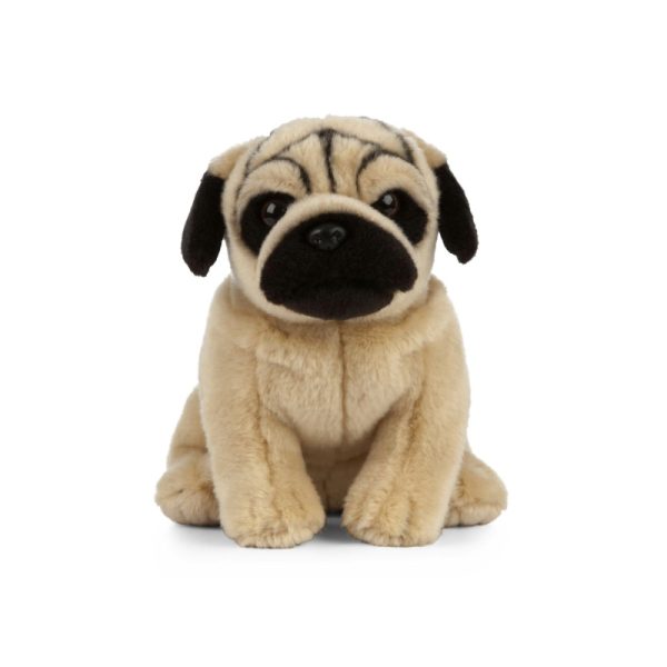 Peluche pug carlin