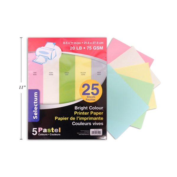 Feuilles de couleur Pastel (25f)